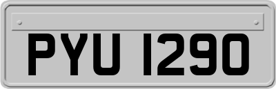 PYU1290