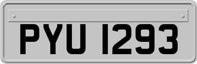 PYU1293