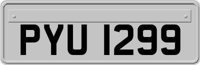 PYU1299