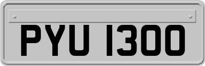 PYU1300