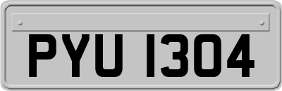 PYU1304