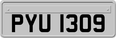 PYU1309