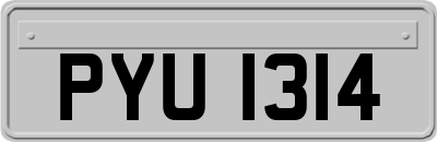 PYU1314