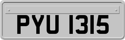 PYU1315