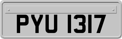 PYU1317