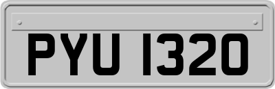 PYU1320