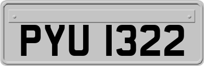 PYU1322