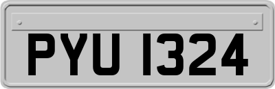 PYU1324