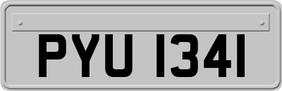 PYU1341