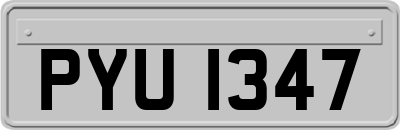 PYU1347