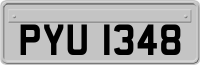 PYU1348
