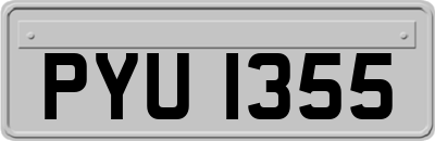 PYU1355