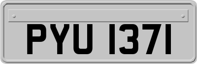 PYU1371