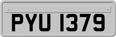 PYU1379