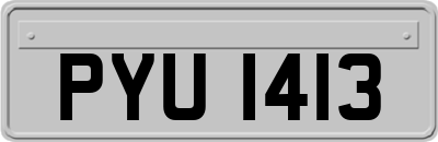 PYU1413