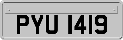 PYU1419