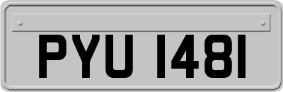 PYU1481