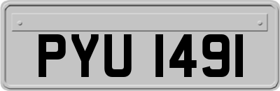 PYU1491
