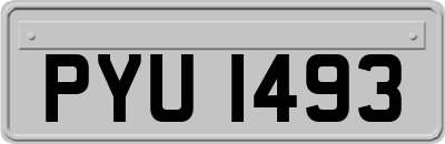 PYU1493