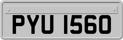 PYU1560