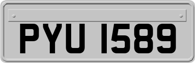 PYU1589