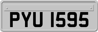 PYU1595