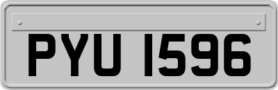 PYU1596