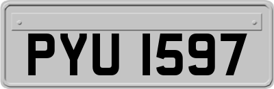 PYU1597