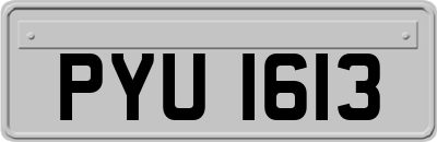 PYU1613