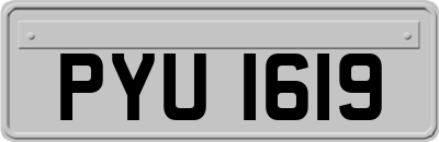 PYU1619