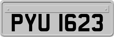 PYU1623