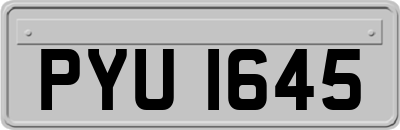 PYU1645