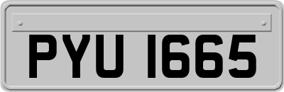 PYU1665