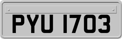 PYU1703