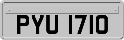 PYU1710