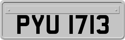 PYU1713