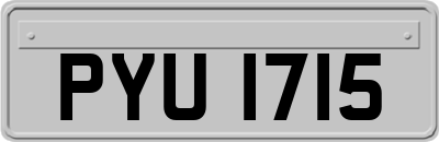 PYU1715