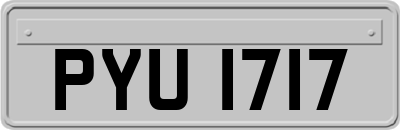 PYU1717