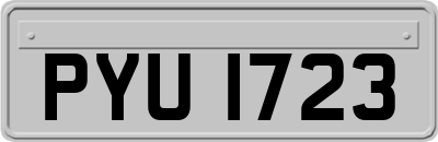 PYU1723