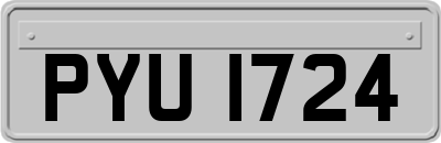 PYU1724