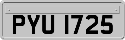 PYU1725