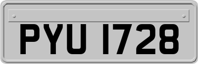 PYU1728