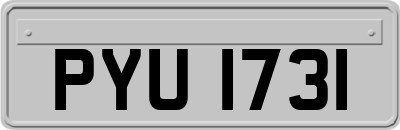 PYU1731