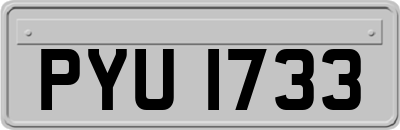 PYU1733