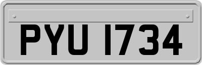 PYU1734