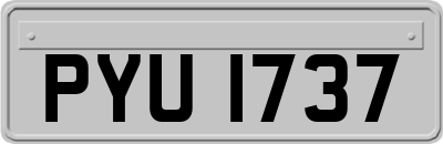 PYU1737