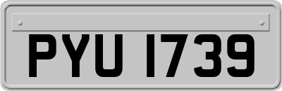 PYU1739