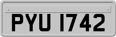 PYU1742