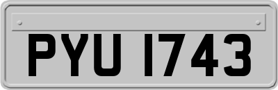 PYU1743
