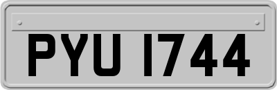PYU1744